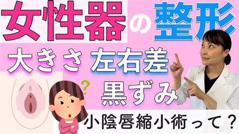 びらびらの大きさ標準は？一般普通サイズを徹底解説…